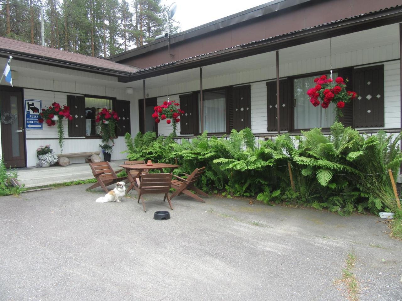 Ruska Bed & Breakfast Taivalkoski Εξωτερικό φωτογραφία